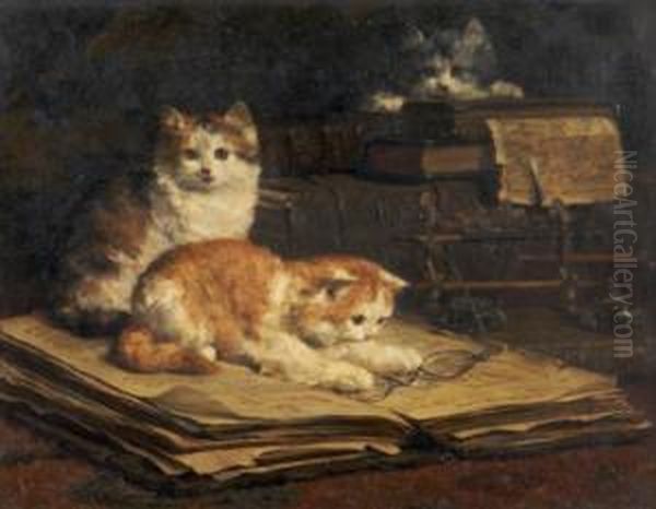 Kittens - view 1