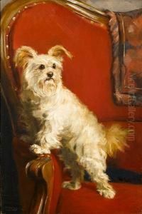 Toy Terrier On A Red Chair