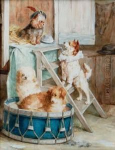Derriare La Baraque: Playful Dogs