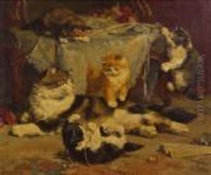 Kittens At Play