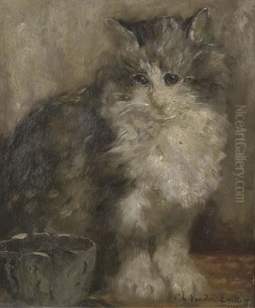 The Contented Cat - view 1