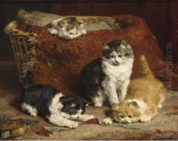 Kittens At Play - view 1