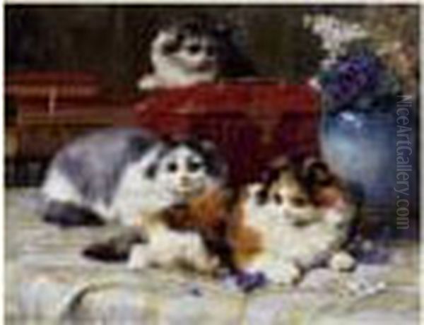 Les Chats - view 1