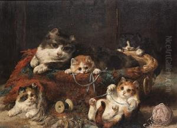 Kittens Playing - view 1