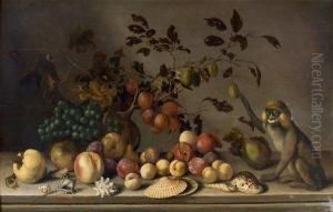 Nature Morte Aux Fruits by Balthasar Van Der Ast