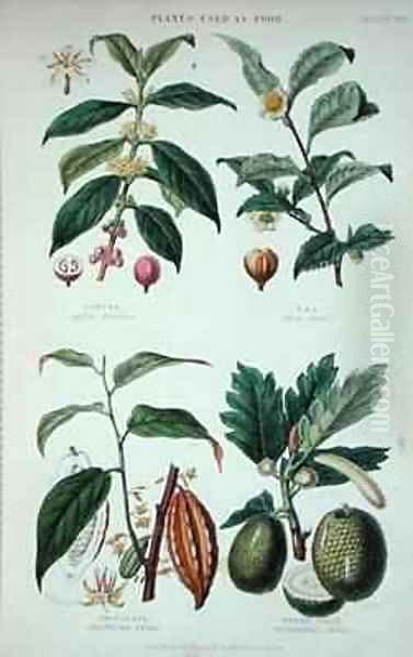 Coffee Tea Chocolate and Breadfruit - view 1