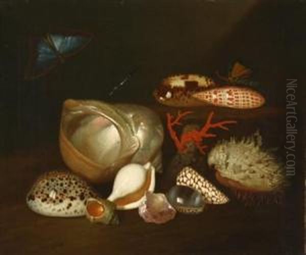 Still Life With Insects And Shells - view 1