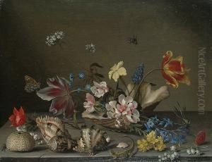 A Still Life Of Flowers
Contained Within A Shell On A Ledge, With Scattered Shells And Lizard
Beside It. by Balthasar Van Der Ast