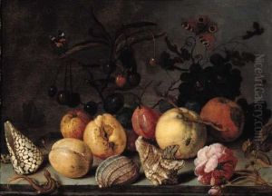 Fruit And Shells, With 
Butterflies, A Dragonfly, A Lizard, A Snail And A Fly On A Stone Ledge