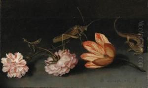 Carnations, A Parrot Tulip, A Grasshopper And A Lizard On Aledge