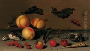 Apricots On A Stalk, Cherries, A
Wild Strawberry, Redcurrants,shells, A Butterfly, A Bee, A Spider, A
Fly, A Caterpillar And Adragonfly On A Ledge by Balthasar Van Der Ast