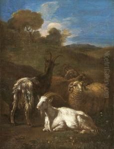 In Sommerlicher Landschaft Zwei Ziegen Und Zwei Schafe Ruhend by Adriaen Van Der Kabel