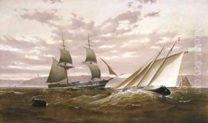 Top Sail Schooner and Sailing Yacht