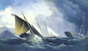 Shipwreck off a steep coast