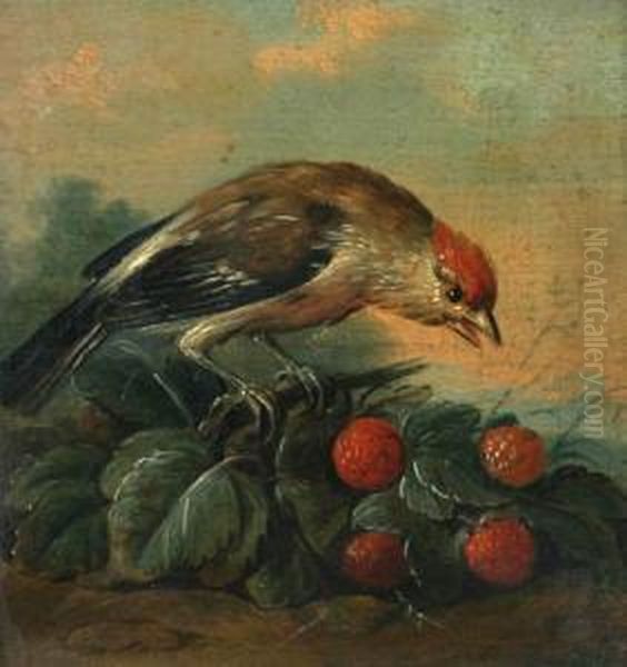Little Bird With Raspberries - view 1