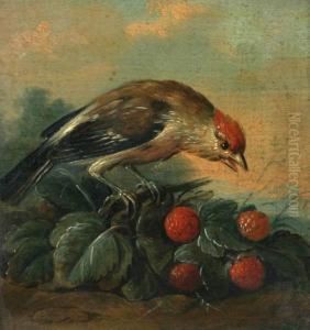 Little Bird With Raspberries by Jacob Van Der Does I