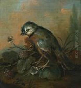 Little Bird With Blackberries