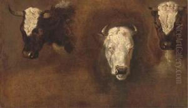 Three Studies Of Bulls' Heads - view 1