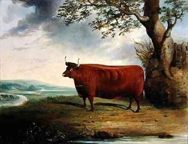 Portrait of a Brown Cow - view 1