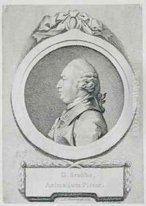 Portrait study of George Stubbs 1724-1806 by Pierre-Etienne Falconet