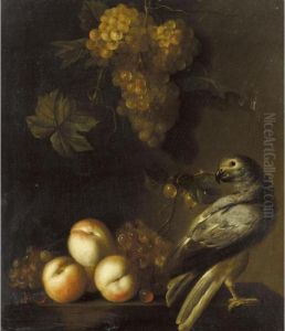 A Still Life Of Grapes And Peaches With An African-grey Parrot by Barend or Bernardus van der Meer