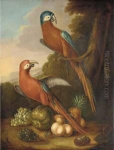 Two Parrots, Grapes, Peaches, Figs, A Melon And A Pineapple In A Wooded Landscape by Heroman Van Der Mijn