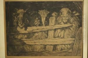 Portret Van Drie Schapen by Willem Van Der Nat