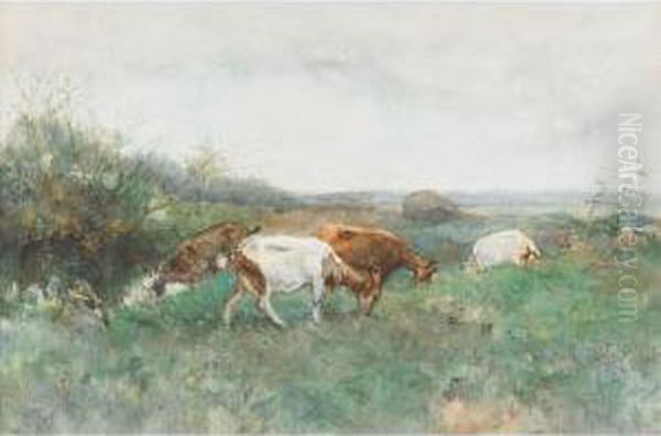Goats Grazing In A Spring Clearing - view 1