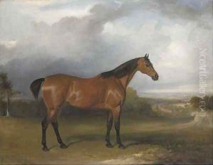 A bay hunter in a landscape with figures and horses by a path in the distance and a town beyond