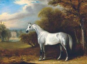 A grey Arabian in a landscape, with the south front of Hollin Hall, North Yorkshire beyond