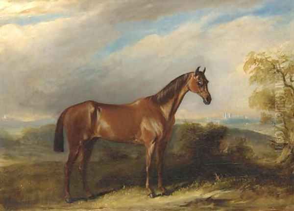 A bay hunter in an extensive landscape - view 1
