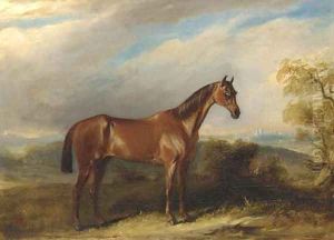A bay hunter in an extensive landscape thumbnail