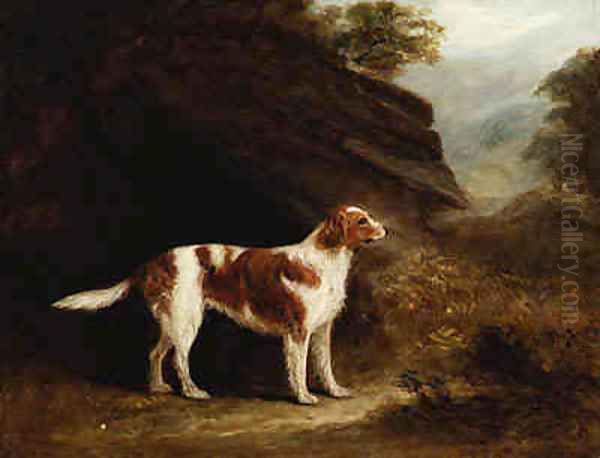 In Search of the Hunt - view 1