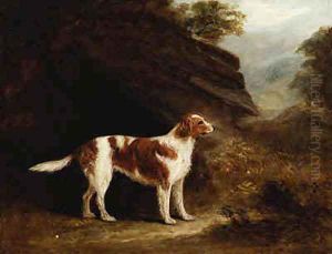 In Search of the Hunt
