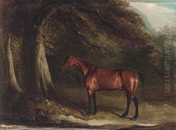 Old Dick, a bay in a wooded landscape - view 1