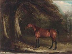 Old Dick, a bay in a wooded landscape by John Jnr. Ferneley