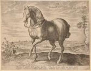 In Derplatte Betit by Jan van der Straet