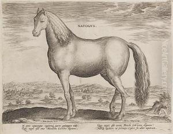 The Royal Stable Of Don John Of Austria - view 1