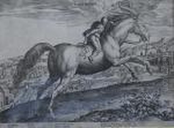 Equile Ioannis Austriaci Caroli - view 1