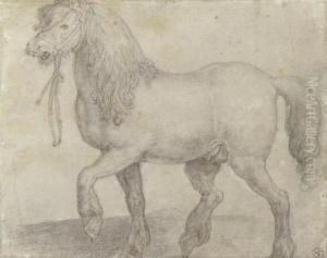Equus Iuliacus: A Stallion Pacing To The Left