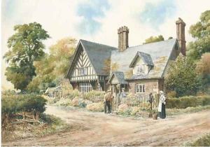 Village gossip