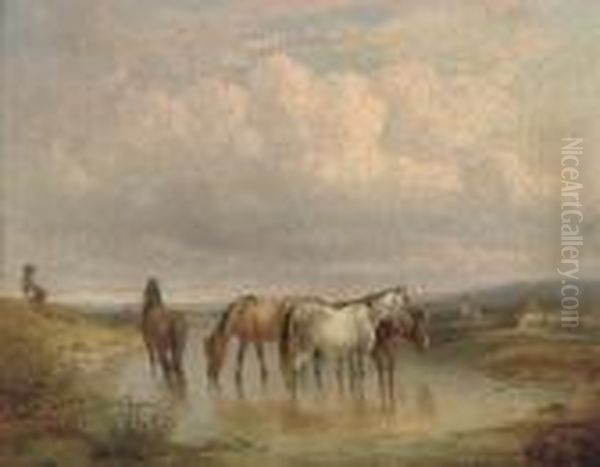 Ponies Watering In An Extensive Landscape - view 1