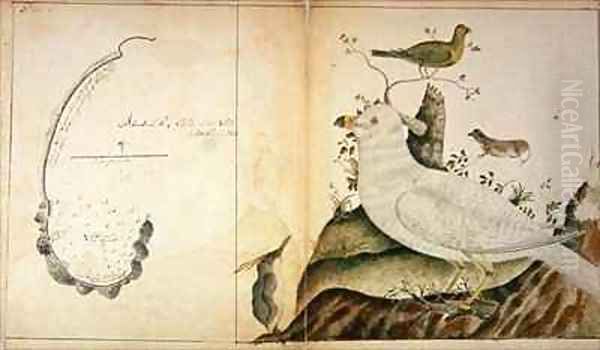 Chart of Adventure Bay Van Diemans Land - view 1