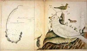 Chart of Adventure Bay Van Diemans Land by Peter Fannin
