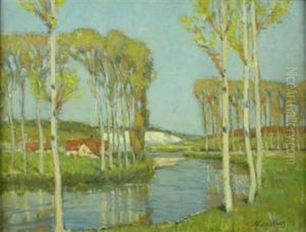 Poplars - view 1