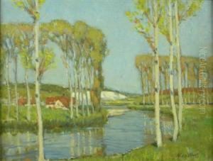 Poplars Poplars