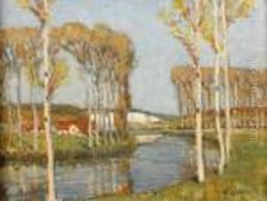 Birch Trees Lining A River, Signed Oil On Board, 27x35cm
