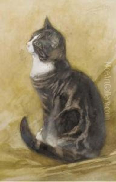 Fascinated Feline - view 1