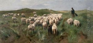 Schaapsherder Met Kudde In De Duinen Bij Wassenaar Schaapsherder Met Kudde In De Duinen Bij Wassenaar