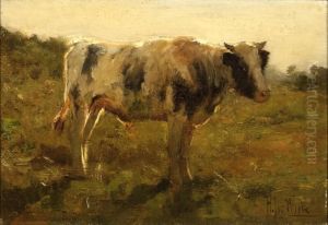 White Bull by Hermann Johannes Van Der Weele